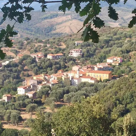 Silvio's * Terradura